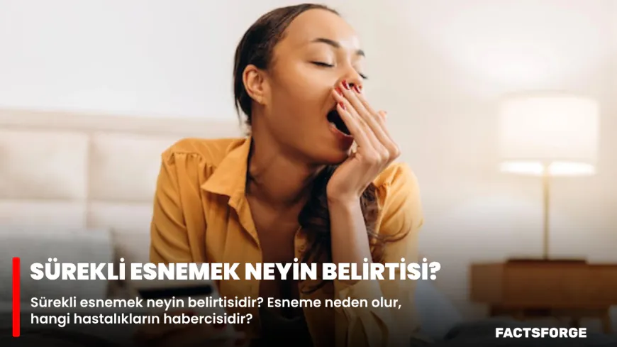 Sürekli Esnemek Neyin Belirtisidir?