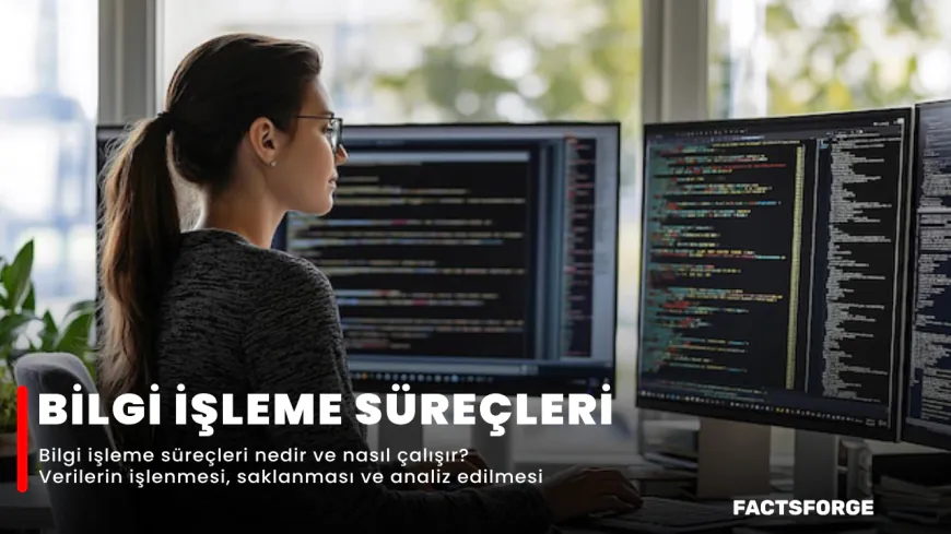 Bilgi İşleme Süreçleri